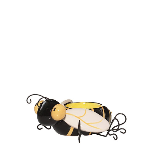 ǰ 